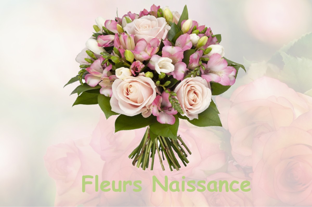 fleurs naissance PLAN-DE-CUQUES