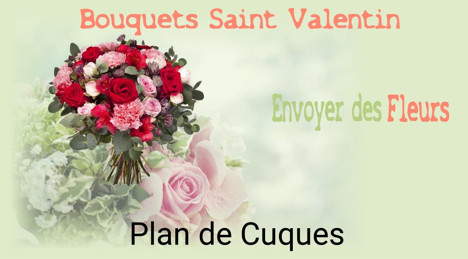 Roses de Saint-Valentin livrées à Plan-de-Cuques