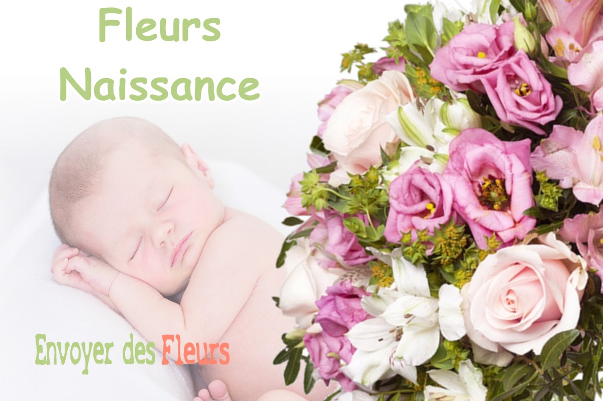 lIVRAISON FLEURS NAISSANCE à PLAN-DE-CUQUES