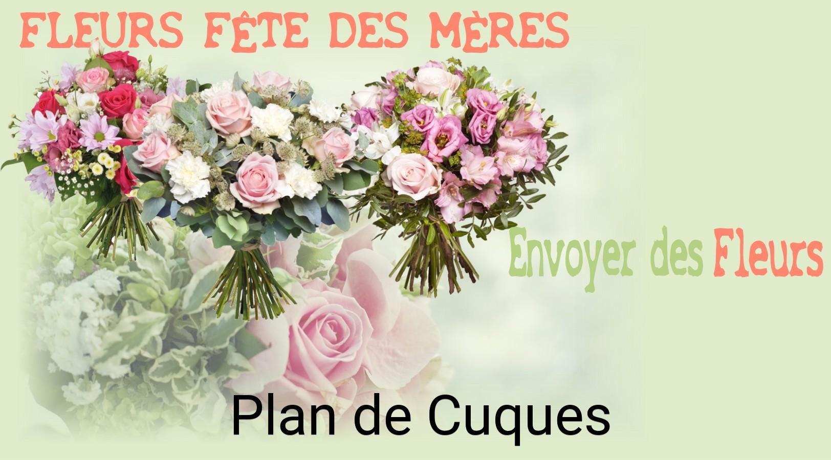 Bouquet de Fête des Mères livré à Plan-de-Cuques